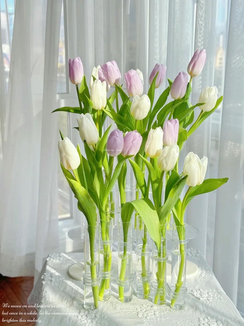 hình nền hoa hoa tulip