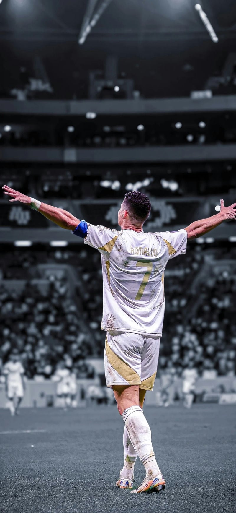 hình nền ronaldo bồ đào nha chiến thắng