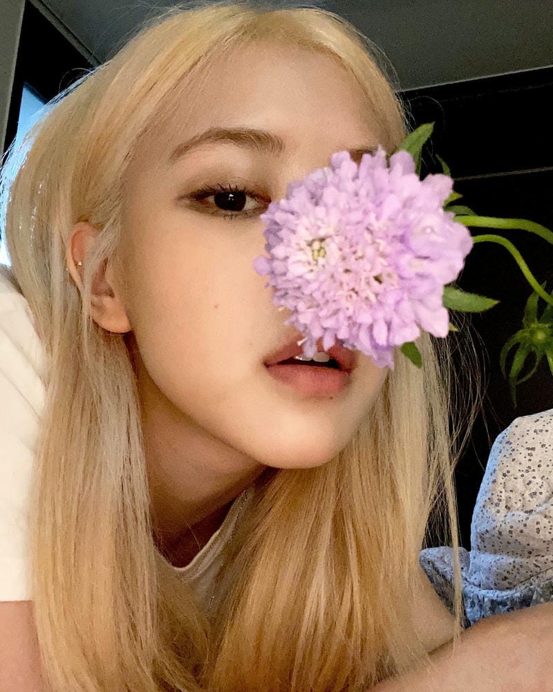 rosé cute