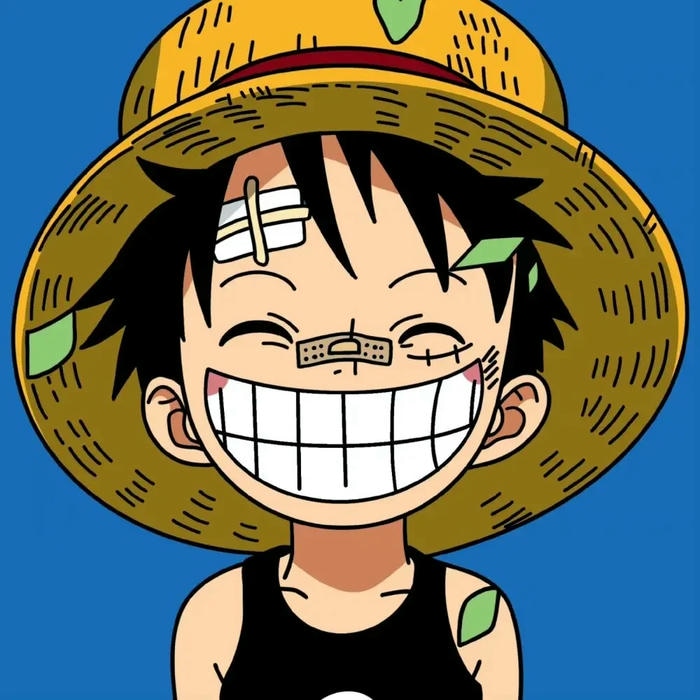 anh luffy