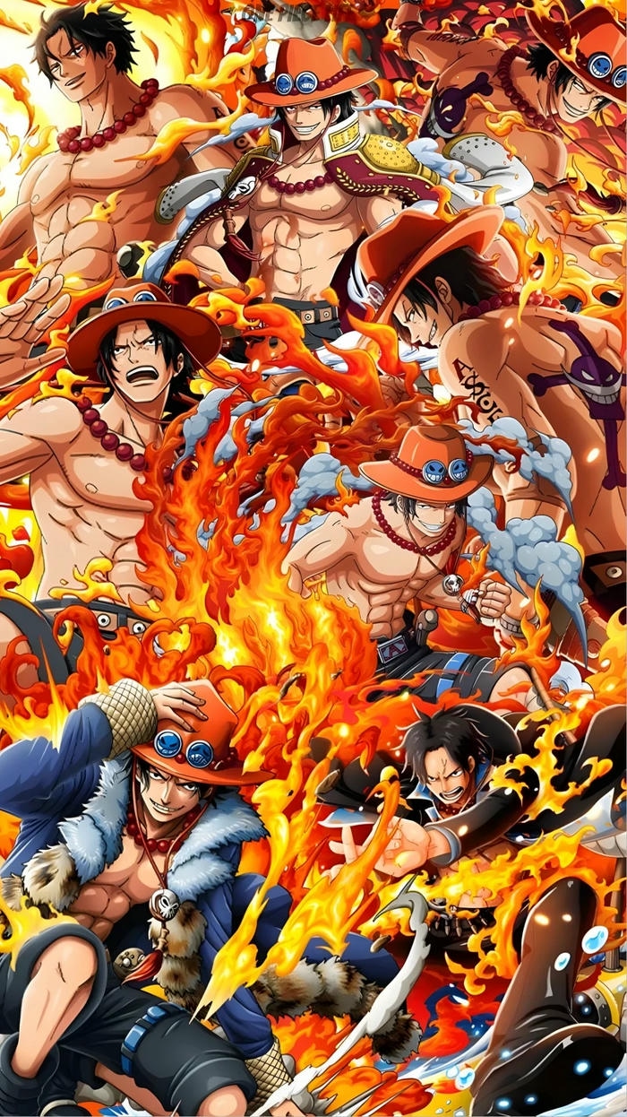 hình ảnh anime one piece