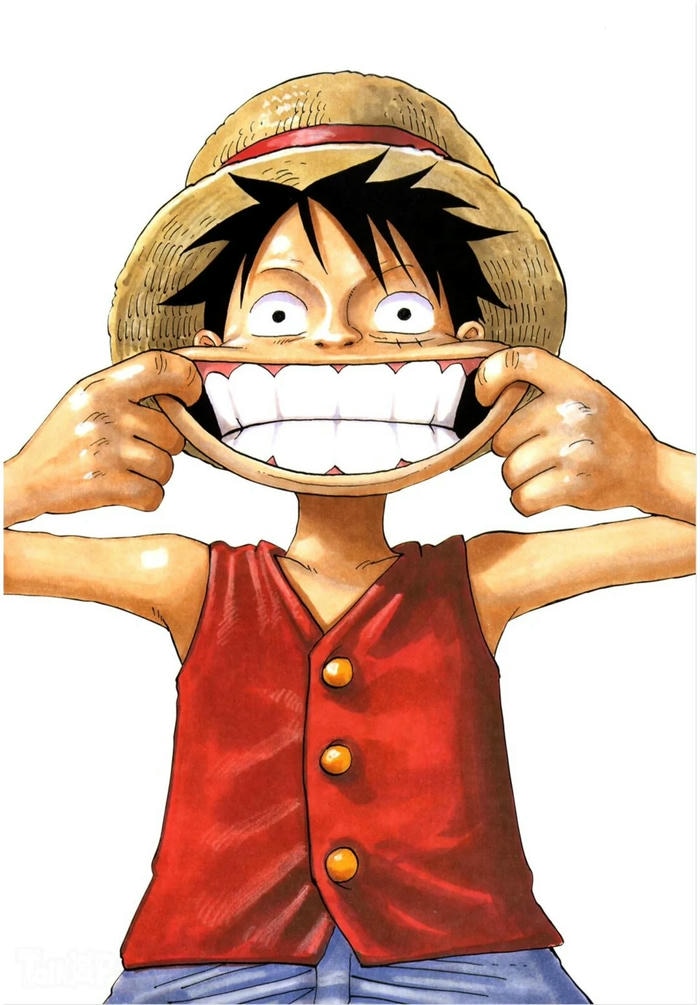 hình ảnh monkey d luffy