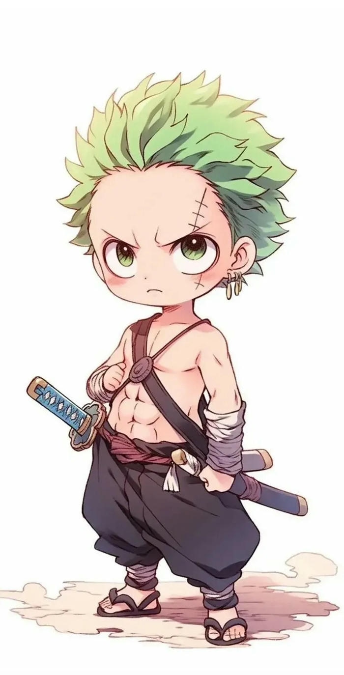 hình zoro