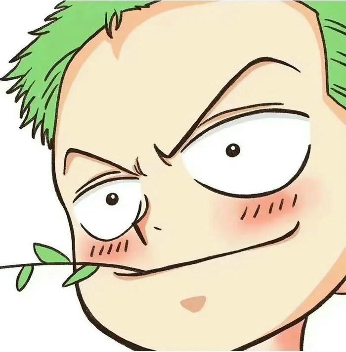 hinh zoro