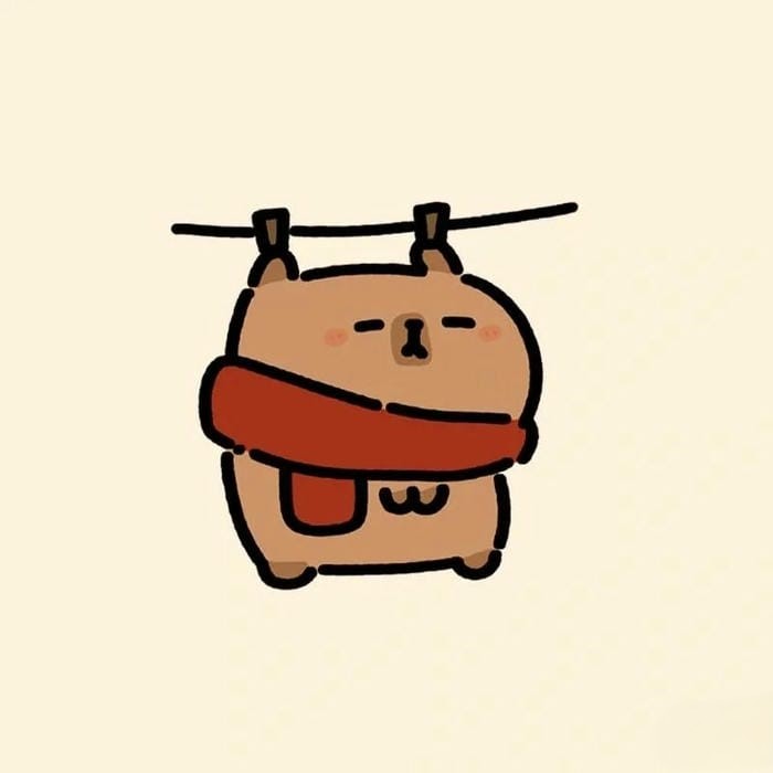 ảnh capybara avatar