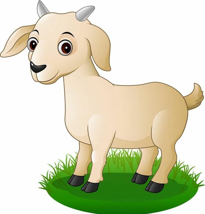 ảnh con dê chibi đẹp