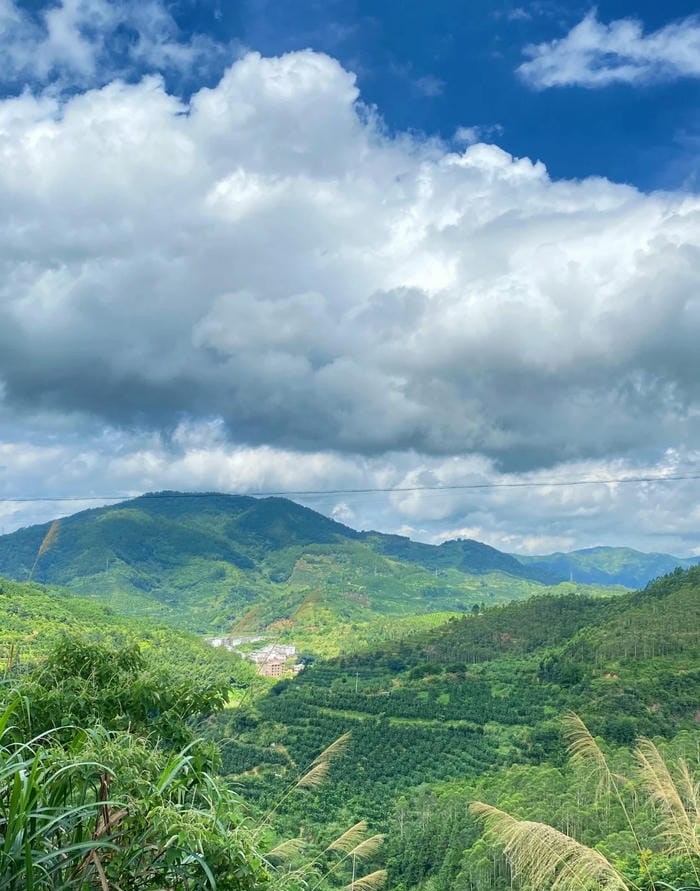 ảnh đồng quê thanh bình