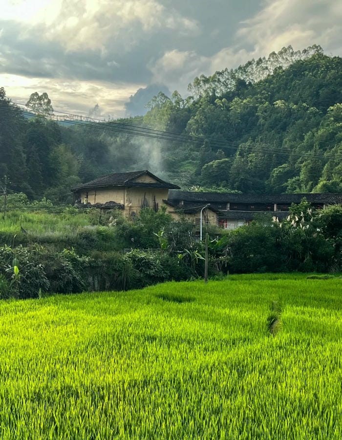 ảnh thiên nhiên đồng quê