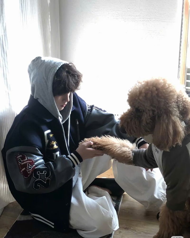 ảnh trai đẹp k6 chó