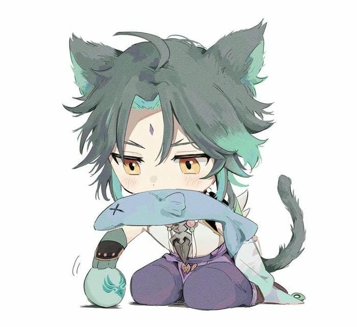 hình ảnh Xiao chibi