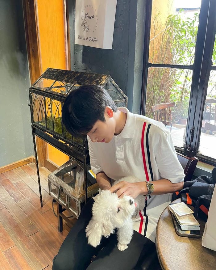 hinh anh trai đep 18 tuoi