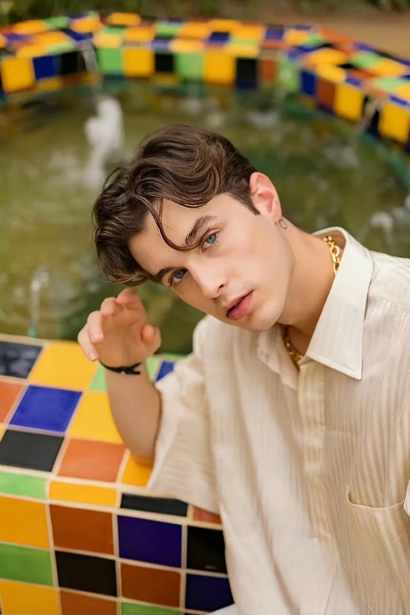 hình ảnh trai tây buồn