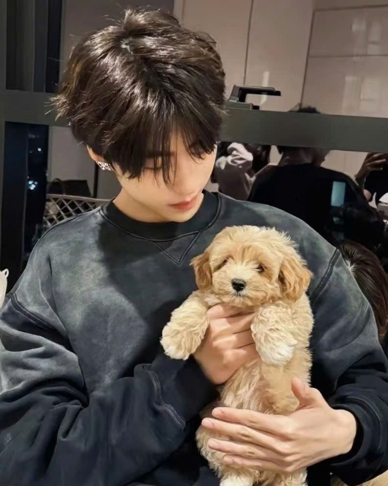 hình anime trai cute