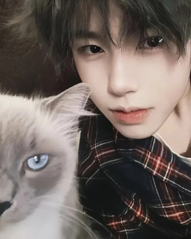 trai trung quốc mèo