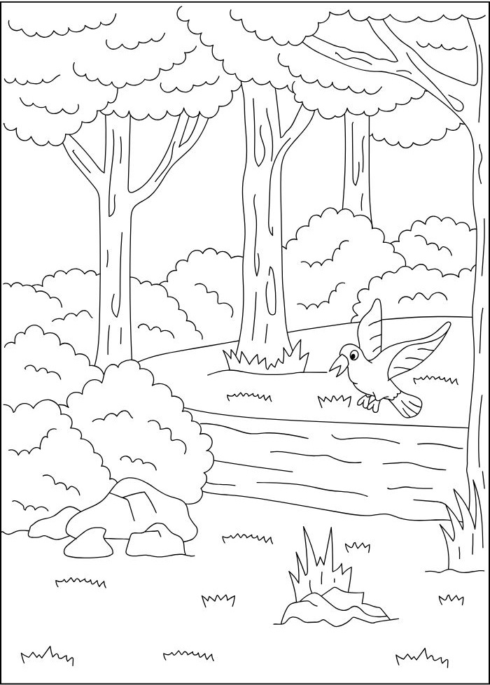 ảnh tranh tô màu cho bé 7-8 tuổi