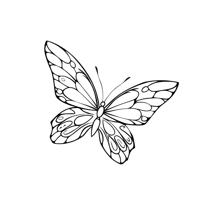 ảnh tranh tô màu con bướm cute đẹp