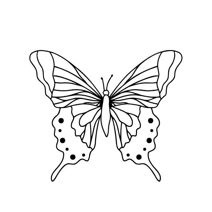 ảnh tranh tô màu con bướm cute xinh