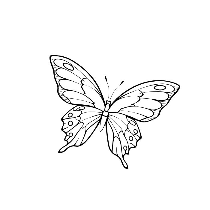 ảnh tranh tô màu con bướm đẹp nhất