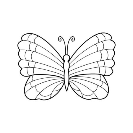 Gợi ý 70+ mẫu tranh tô màu con bướm xinh xắn cho các bé