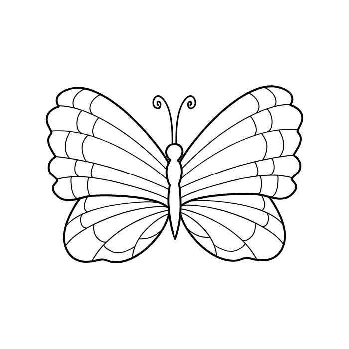 ảnh tranh tô màu con bướm siêu xinh