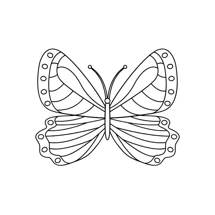 ảnh tranh tô màu con bướm xinh đẹp