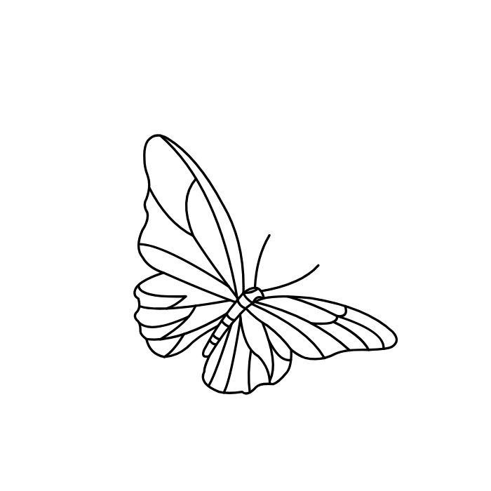 ảnh tranh tô màu con bướm xinh nhất
