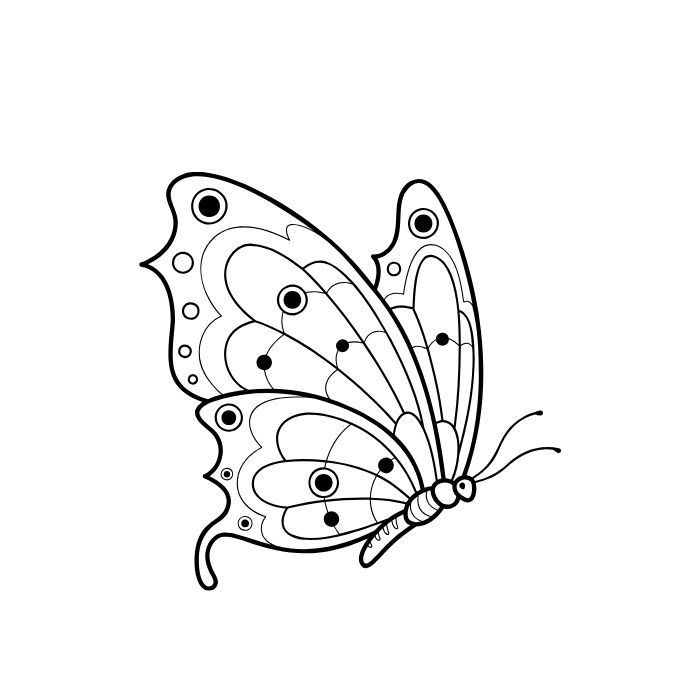 ảnh tranh tô màu con bướm