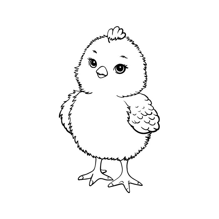 ảnh tranh tô màu con gà full hd