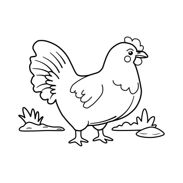 ảnh tranh tô màu con gà siêu cute