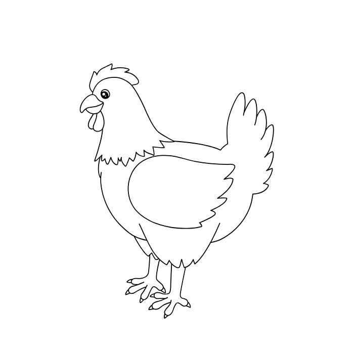 ảnh tranh tô màu con gà