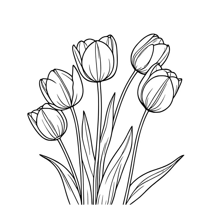 ảnh tranh tô màu hoa tulip full hd