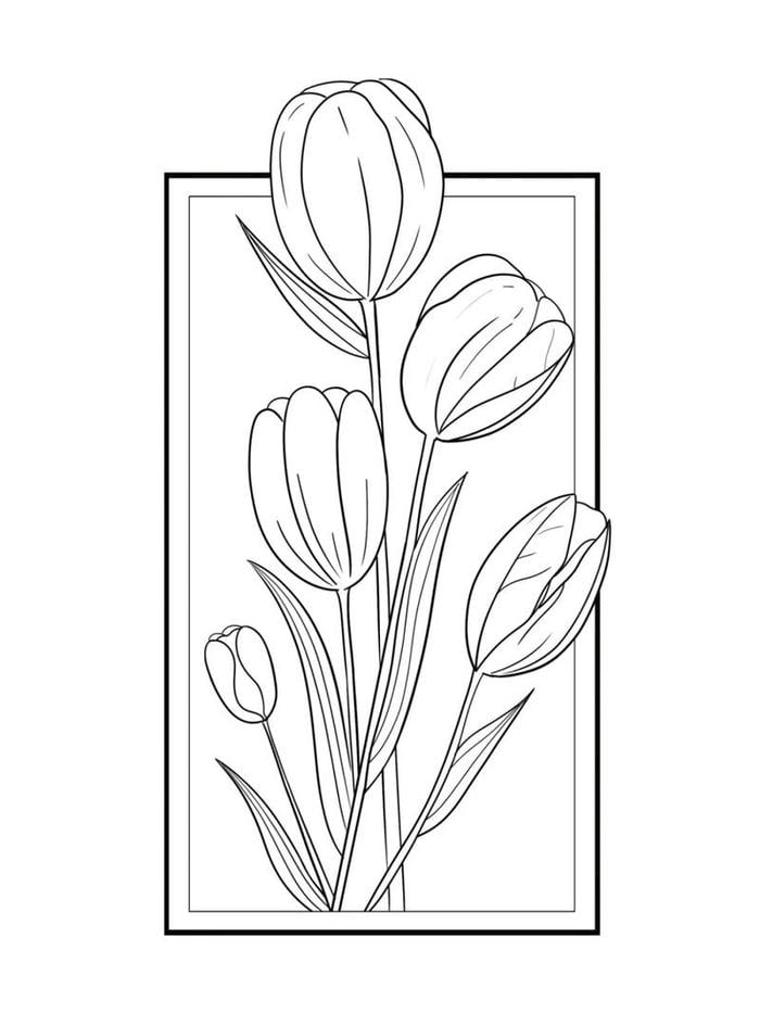 hình ảnh tranh tô màu hoa tulip