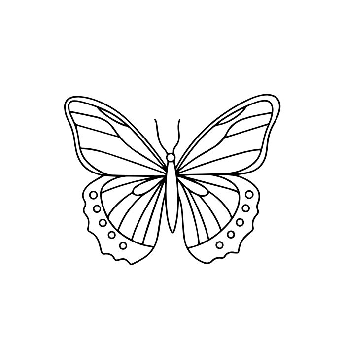 tranh tô màu con bướm cute nhất