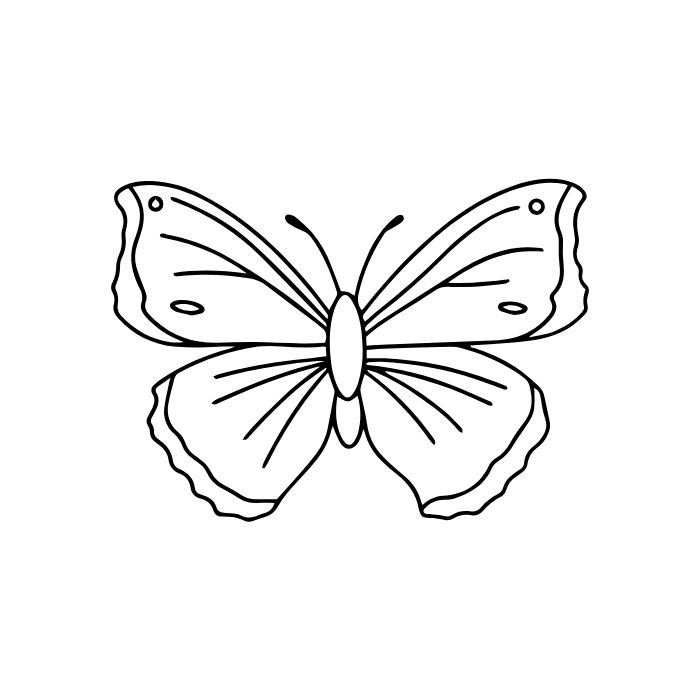 tranh tô màu con bướm xinh nhất