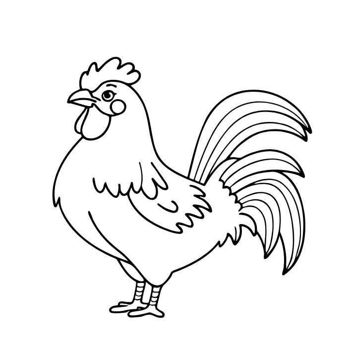 tranh tô màu con gà