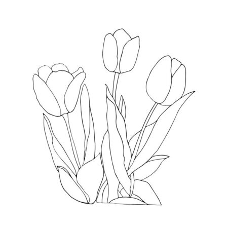 200+ Bộ tranh tô màu hoa tulip đơn giản chuẩn gu các bé