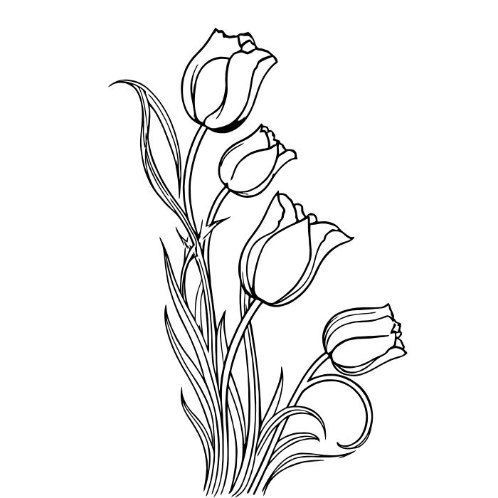 tranh tô màu hoa tulip xinh đẹp