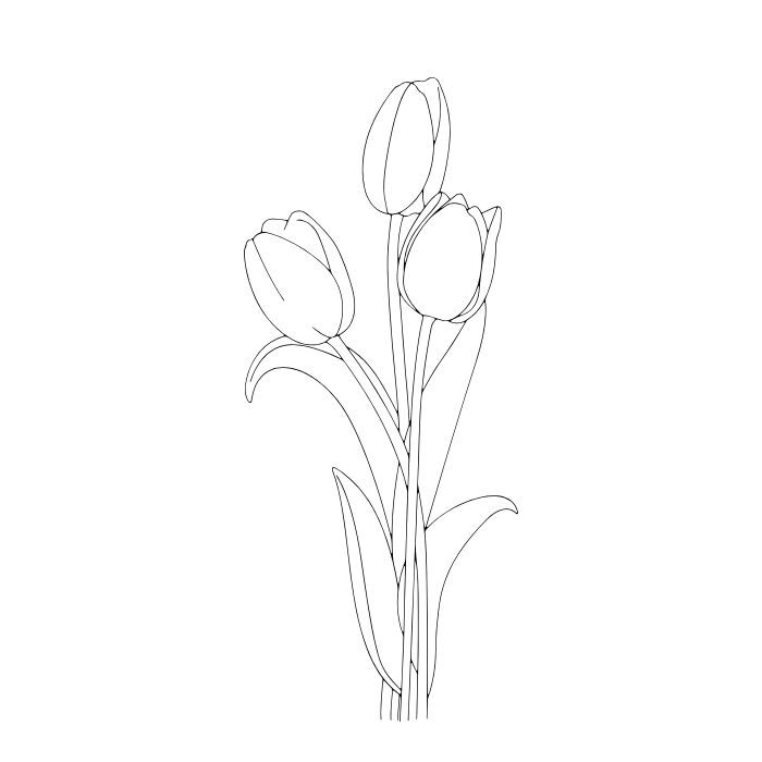 tranh tô màu hoa tulip xinh nhất