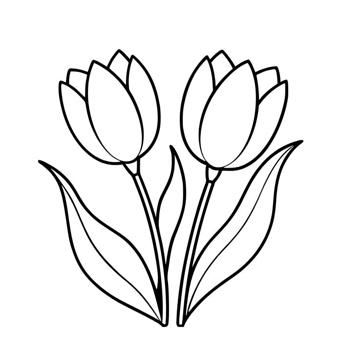 tranh tô màu hoa tulip xinh yêu