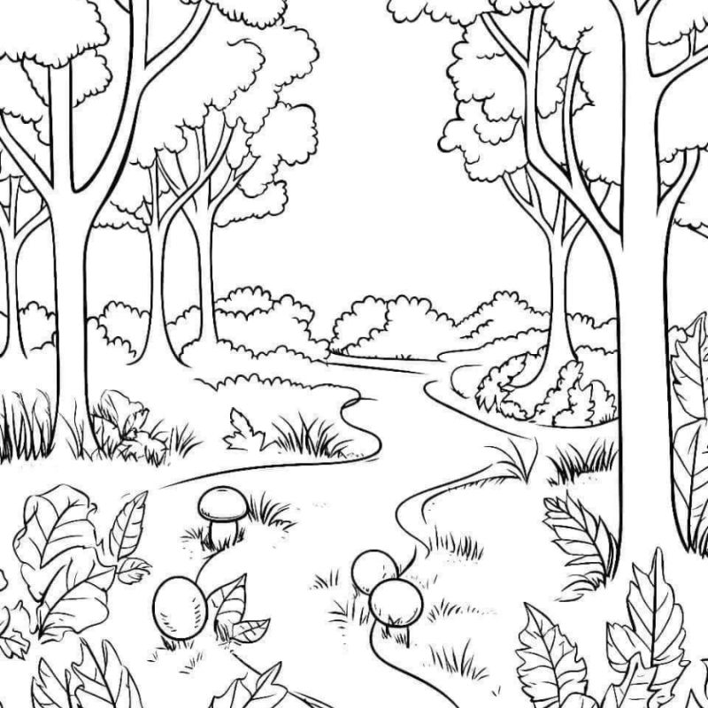 tranh tô màu phong cảnh đẹp