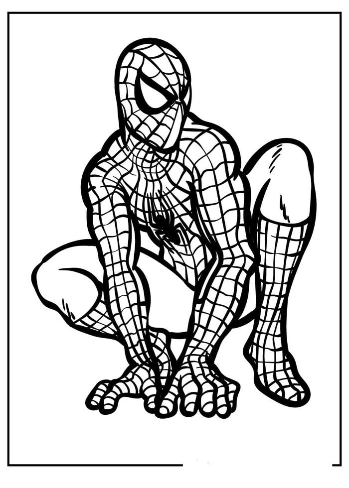 tranh tô màu spider man siêu ngầu