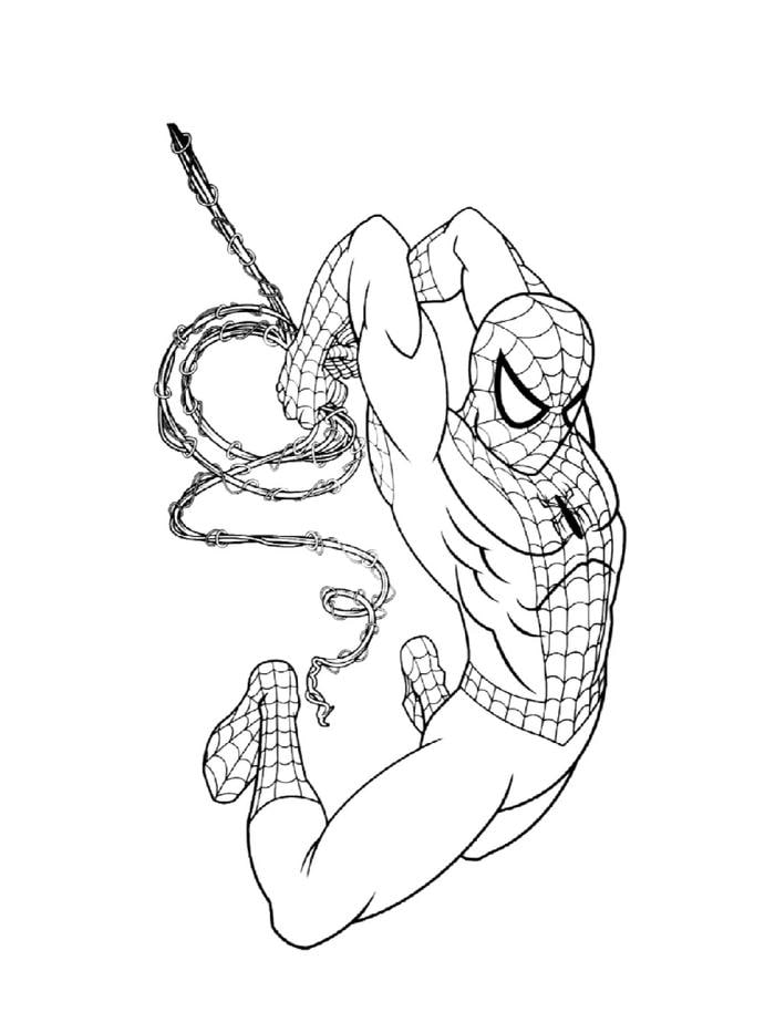tranh tô màu spider man